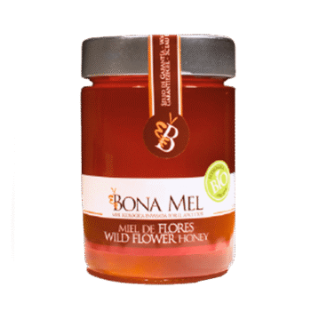 MIEL DE FLEURS ORANGER BIO 300G