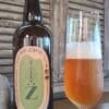Bière IPA Peïzane Bio 750ml