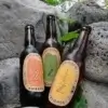 Bière Ambre Peïzane Bio 33CL