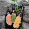 Bière IPA Peïzane Bio 33cl