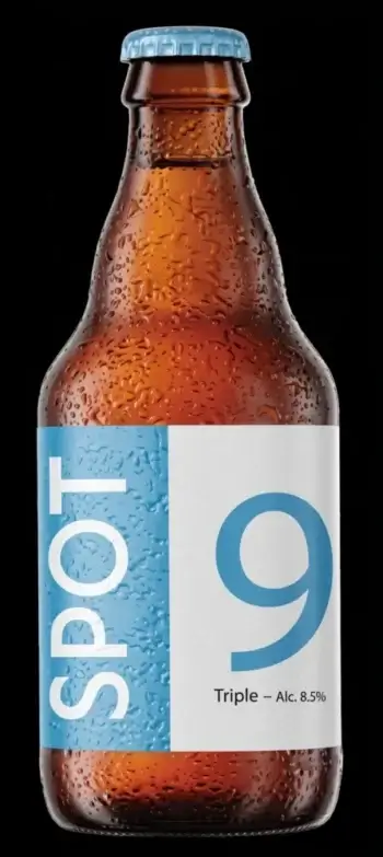 Bière triple spot 9 33cl