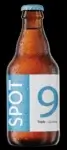 Bière triple spot 9 33cl (AI Enhanced)