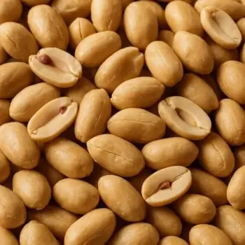Cacahuète décortiquée bio