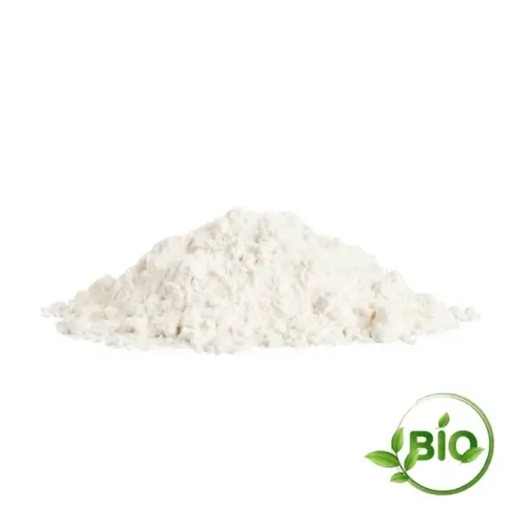 Farine de riz bio