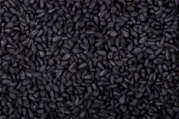 Graine de sésame noir bio