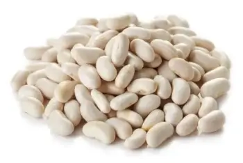 Haricot blanc bio