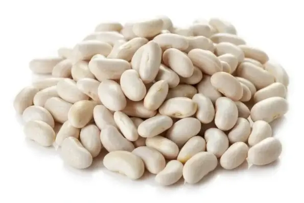 Haricot blanc bio
