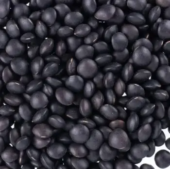 Lentilles beluga bio