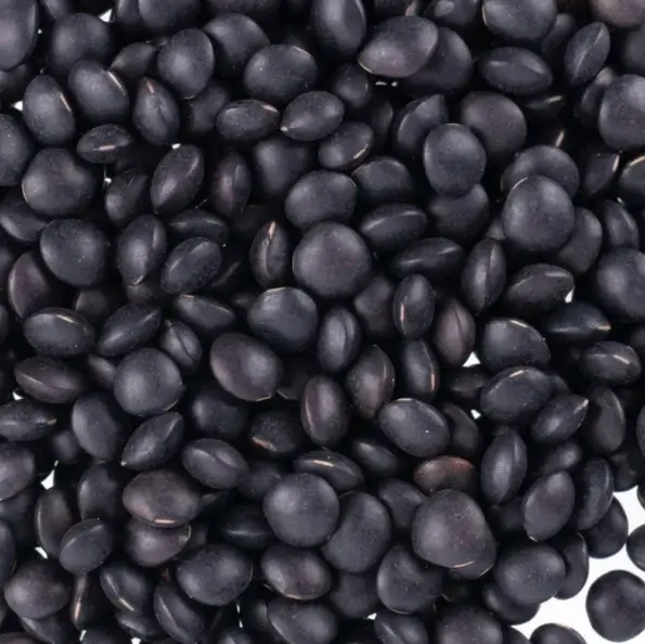 Lentilles beluga bio