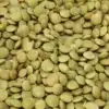 Lentilles vertes bio