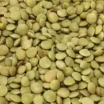 Lentilles vertes bio (AI Enhanced)
