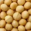 Noix de macadamia bio