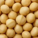 Noix de macadamia bio