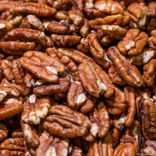 Noix de pécan bio