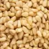 Pignons de pin bio