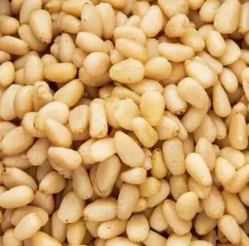 Pignons de pin bio