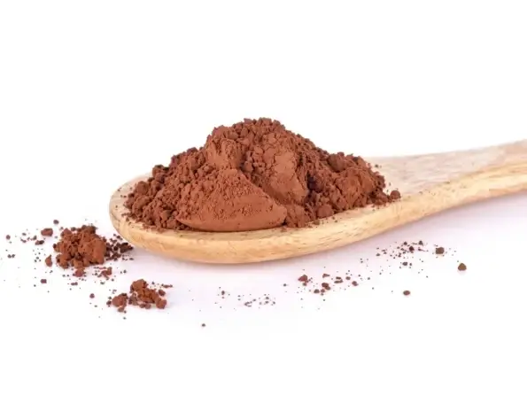 Poudre de cacao bio