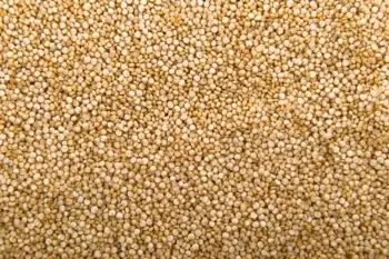 Quinoa blanc bio