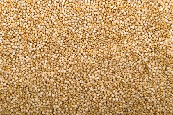 Quinoa blanc bio