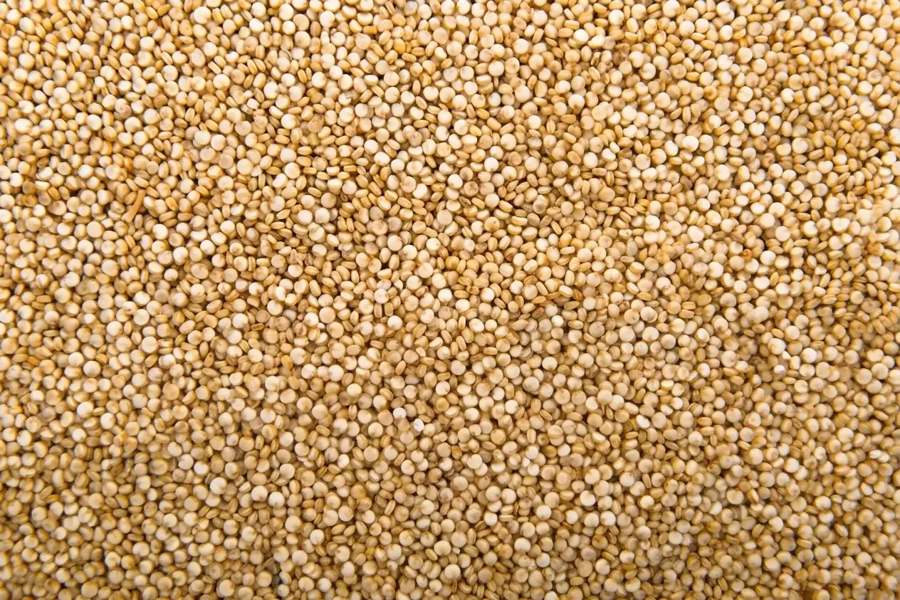 Quinoa blanc bio (AI Enhanced)