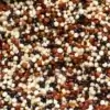 Quinoa tricolore bio