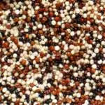 Quinoa tricolore bio (AI Enhanced)