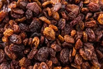 Raisins secs bio