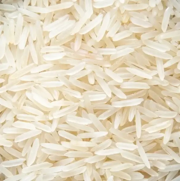 Riz Basmati blanc bio