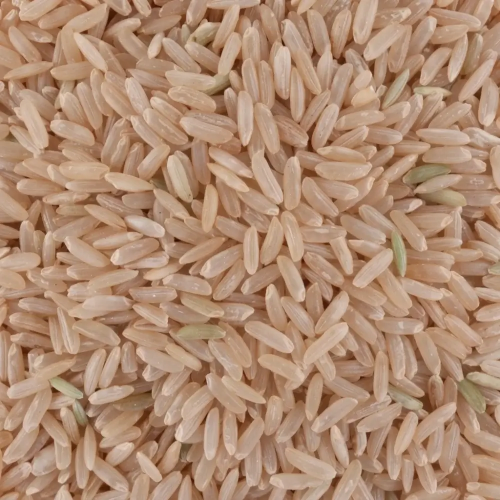 Riz basmati complet bio (AI Enhanced)