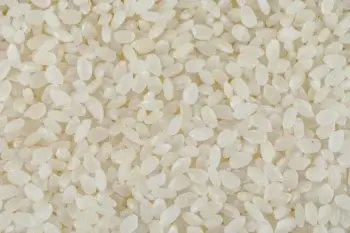 Riz rond blanc bio