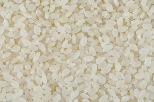 Riz rond blanc bio