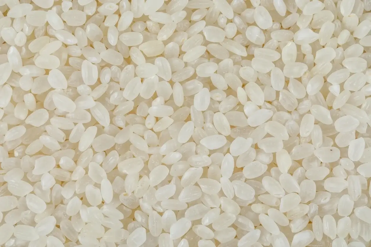 Riz rond blanc bio (AI Enhanced)