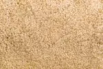 Graine de sésame bio (AI Enhanced)