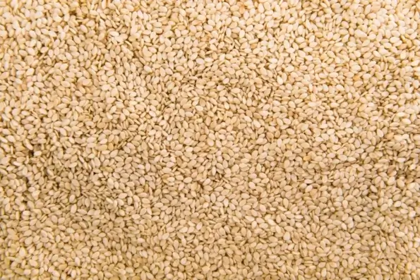 Graine de sésame bio