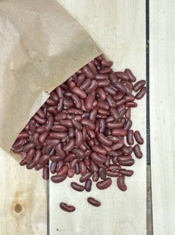 Haricot rouge Kidney bio