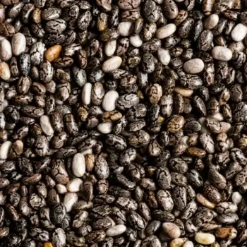 Graine de chia bio